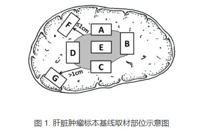 搜狗截图17年10月07日0808_1.jpg